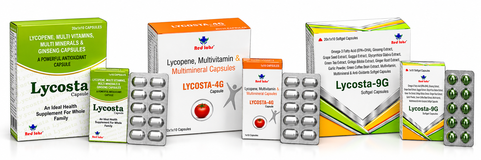 Lycosta product portfolio